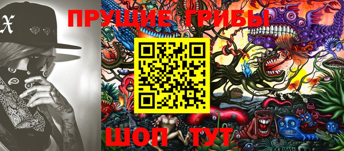 Галлюциногенные грибы мицелий  Вход с VPN  Псилоцибиновые грибы Psilocybine cubensis  что такое наркотик  Лесной 